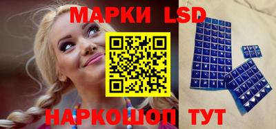 крисы Нальчик