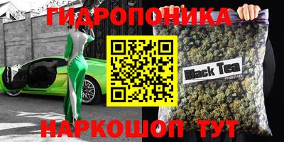 крисы Нальчик