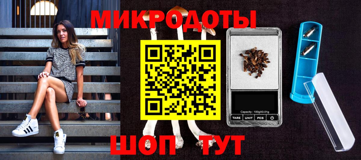 Галлюциногенные грибы Psilocybine cubensis Чайковский