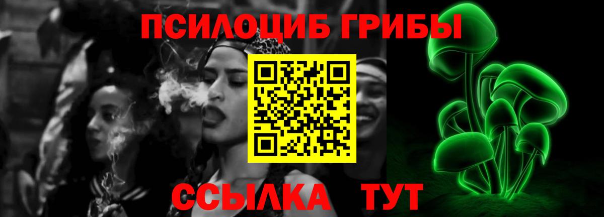 Чайковский  Псилоцибиновые грибы мицелий  Вход с VPN 